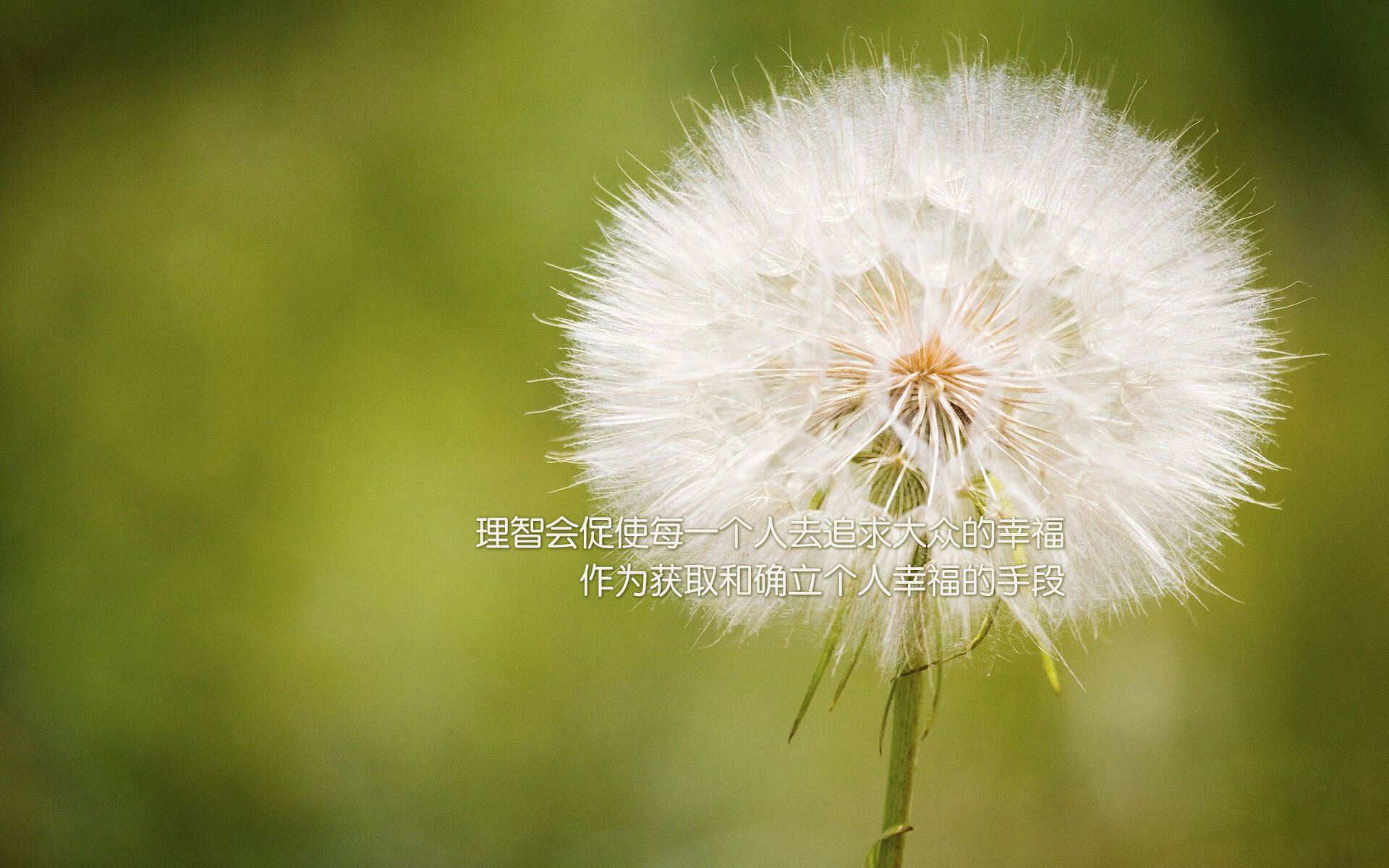 冰与火之歌，拉什福德点燃战火，冰岛狂胜背后的关键先生