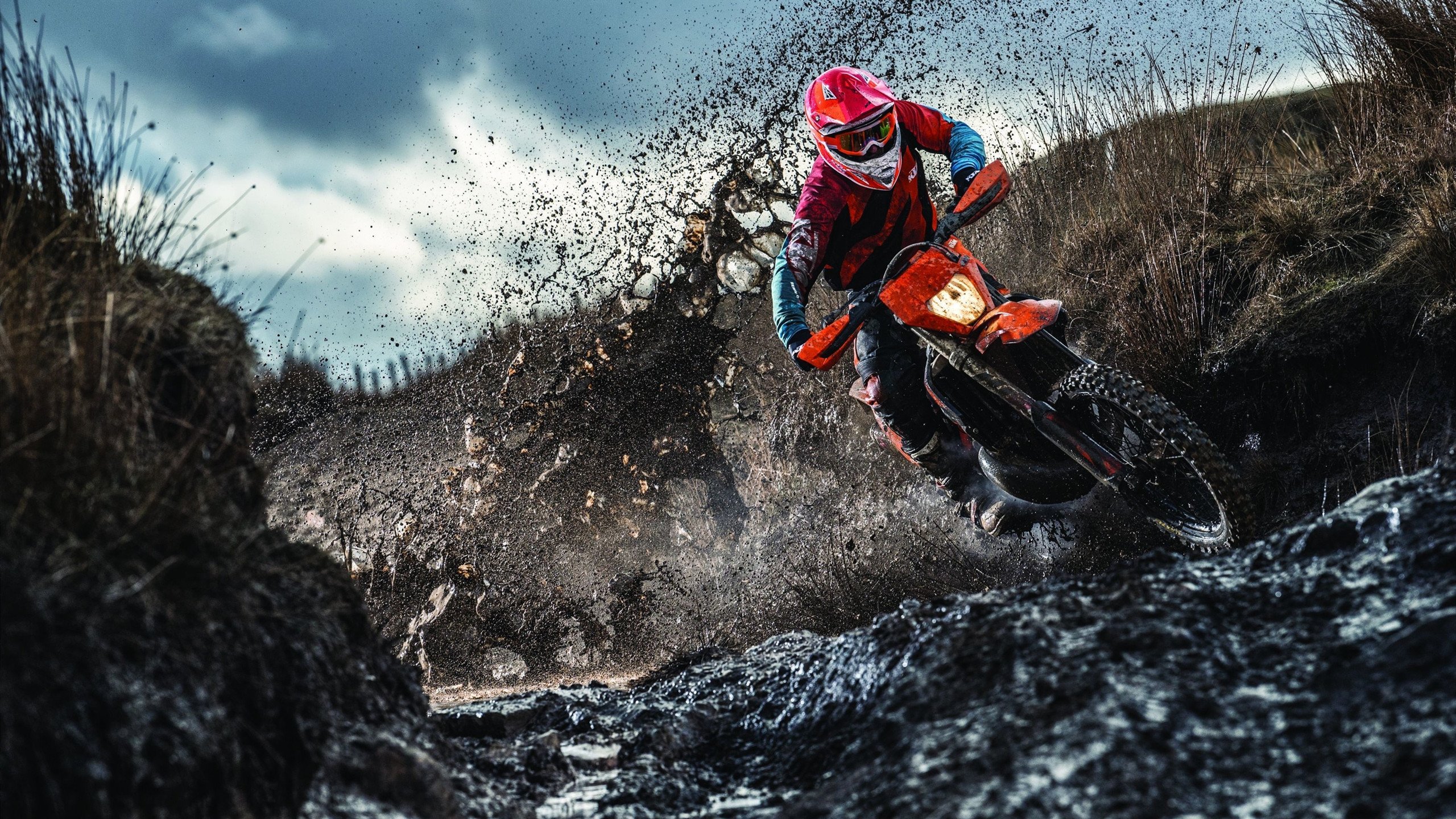 雷霆万钧，抢七夜，青春风暴席卷凤凰城